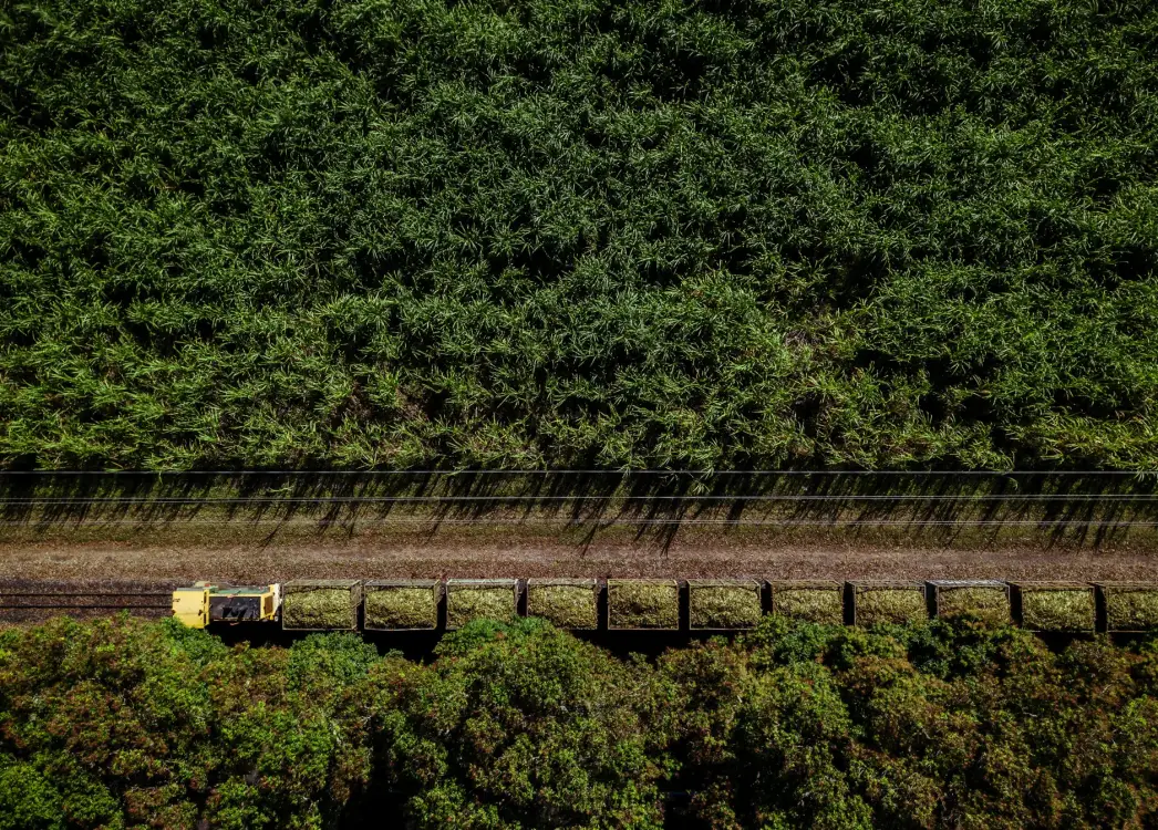 Photos by Josh Withers of Tasmania, Australia.