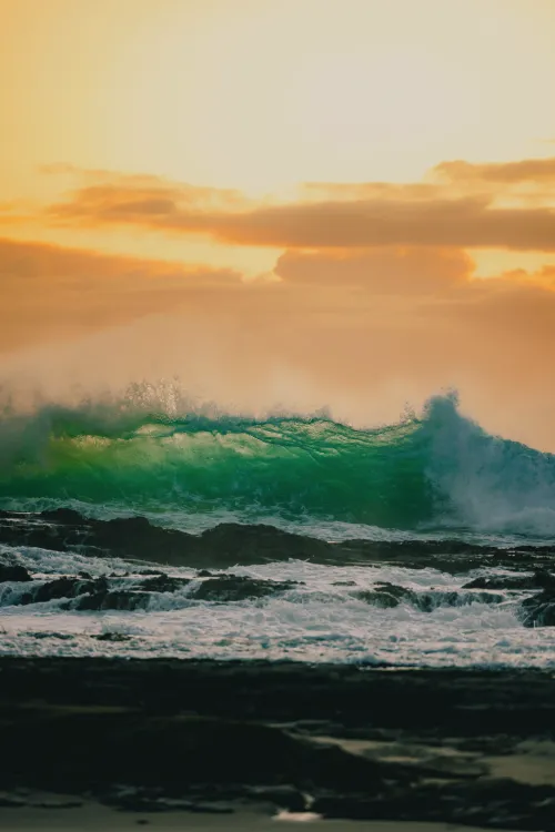 Photos by Josh Withers of Tasmania, Australia.
