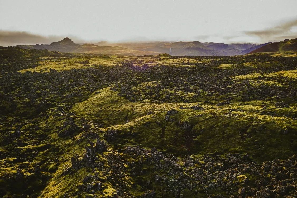 Photos by Josh Withers of Tasmania, Australia.