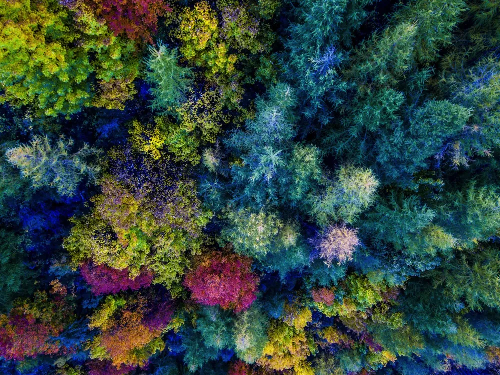 Photos by Josh Withers of Tasmania, Australia.