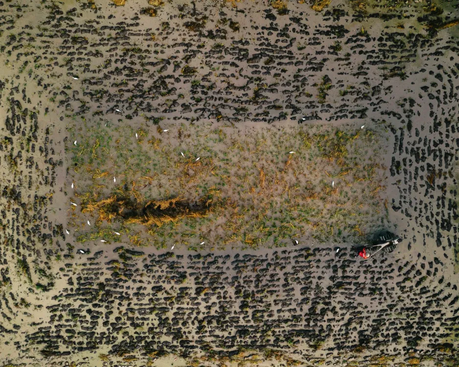 Photos by Josh Withers of Tasmania, Australia.