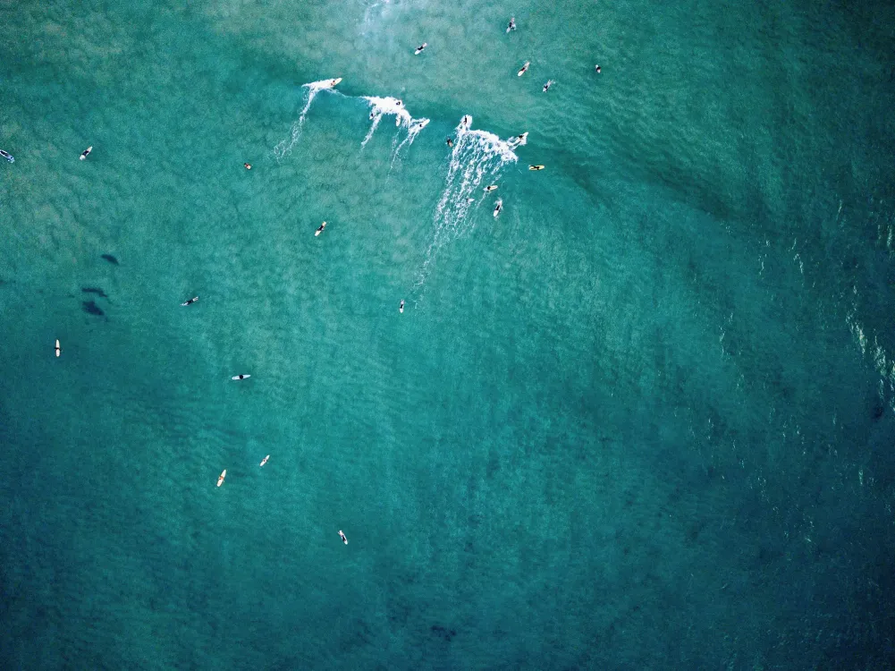 Photos by Josh Withers of Tasmania, Australia.