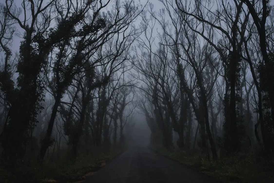Photos by Josh Withers of Tasmania, Australia.