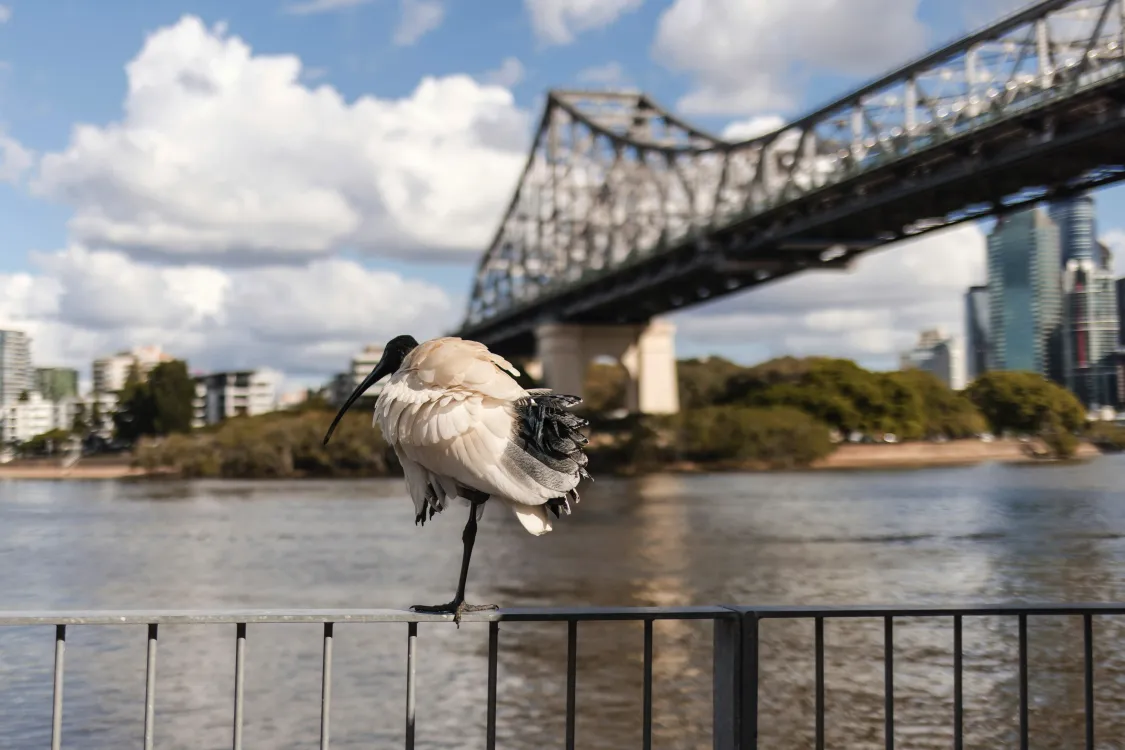 Photos by Josh Withers of Tasmania, Australia.