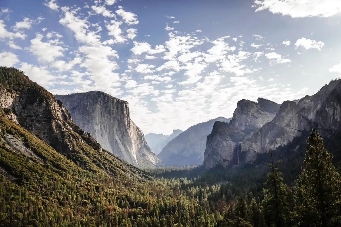Photos by Josh Withers of Tasmania, Australia.