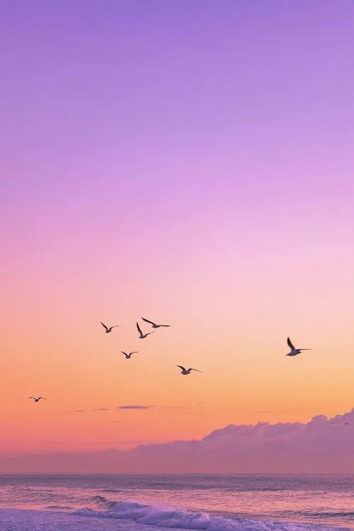 Photos by Josh Withers of Tasmania, Australia.