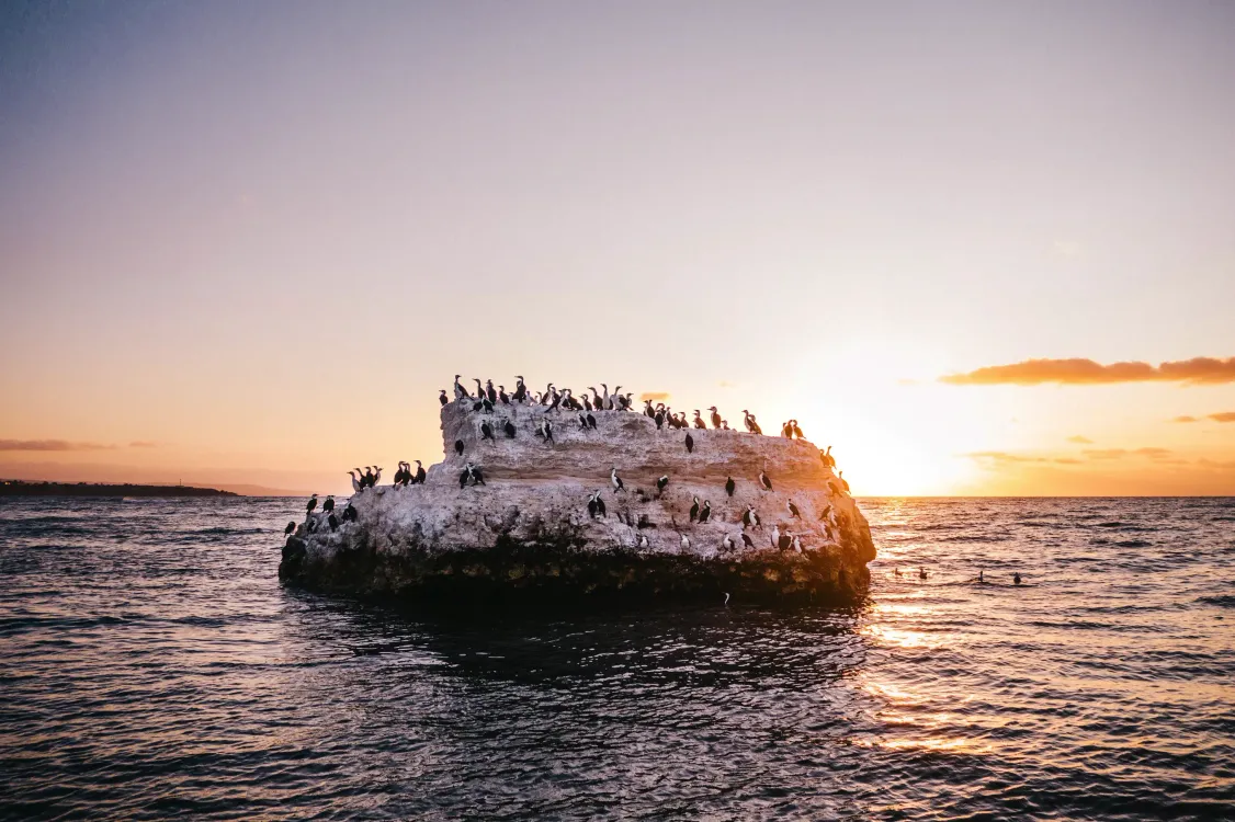 Photos by Josh Withers of Tasmania, Australia.