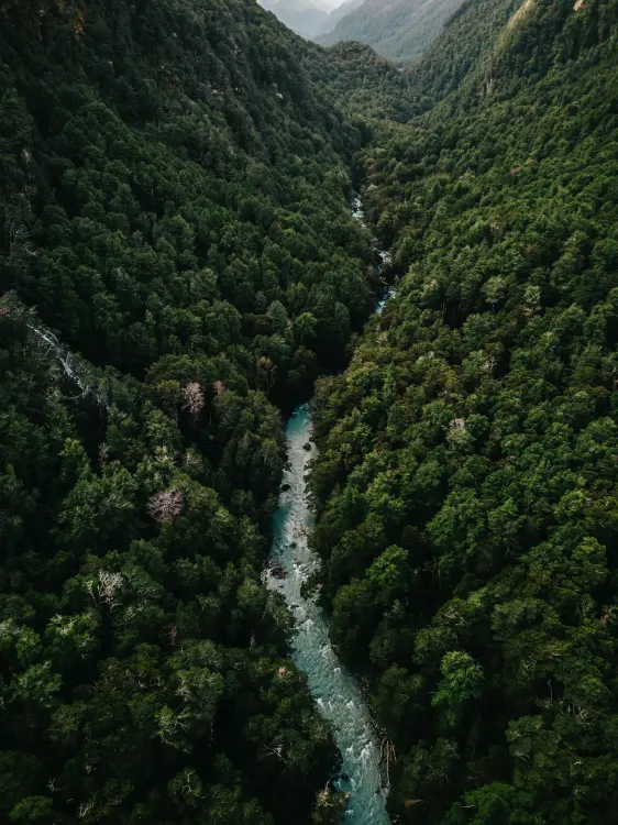 Photos by Josh Withers of Tasmania, Australia.
