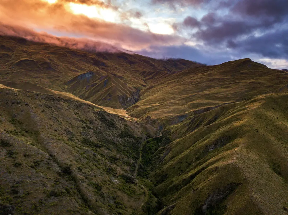 Photos by Josh Withers of Tasmania, Australia.