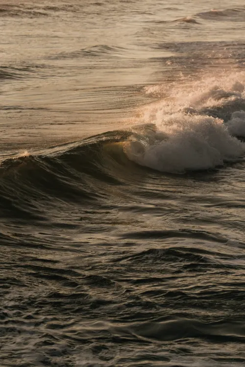 Photos by Josh Withers of Tasmania, Australia.