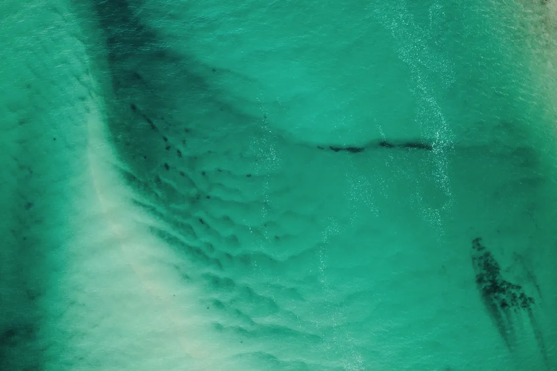 Photos by Josh Withers of Tasmania, Australia.