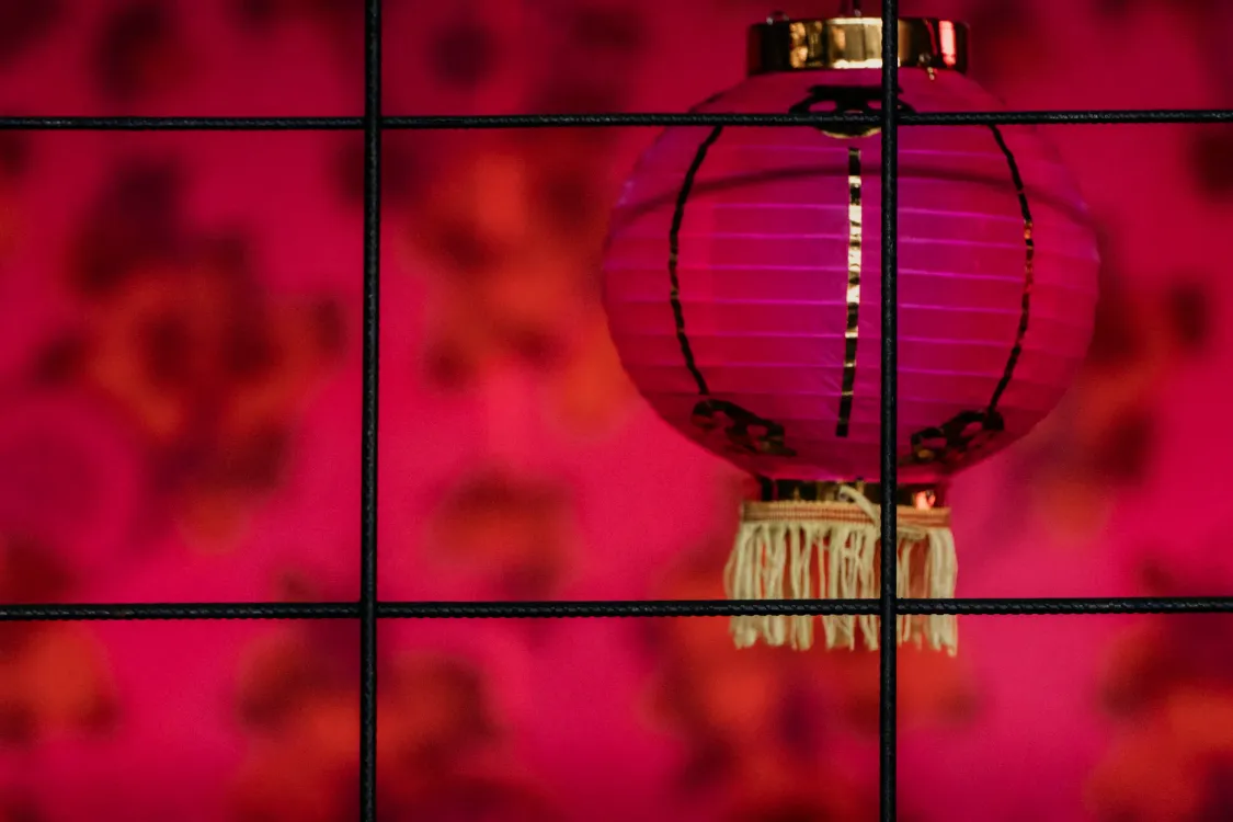 Photos by Josh Withers of Tasmania, Australia.